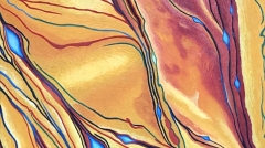 ohne Titel (2009-2010)